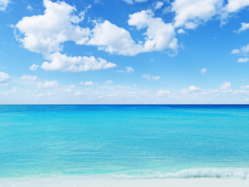 夏の風景